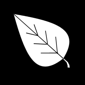 leave tree